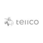 teiico.webp